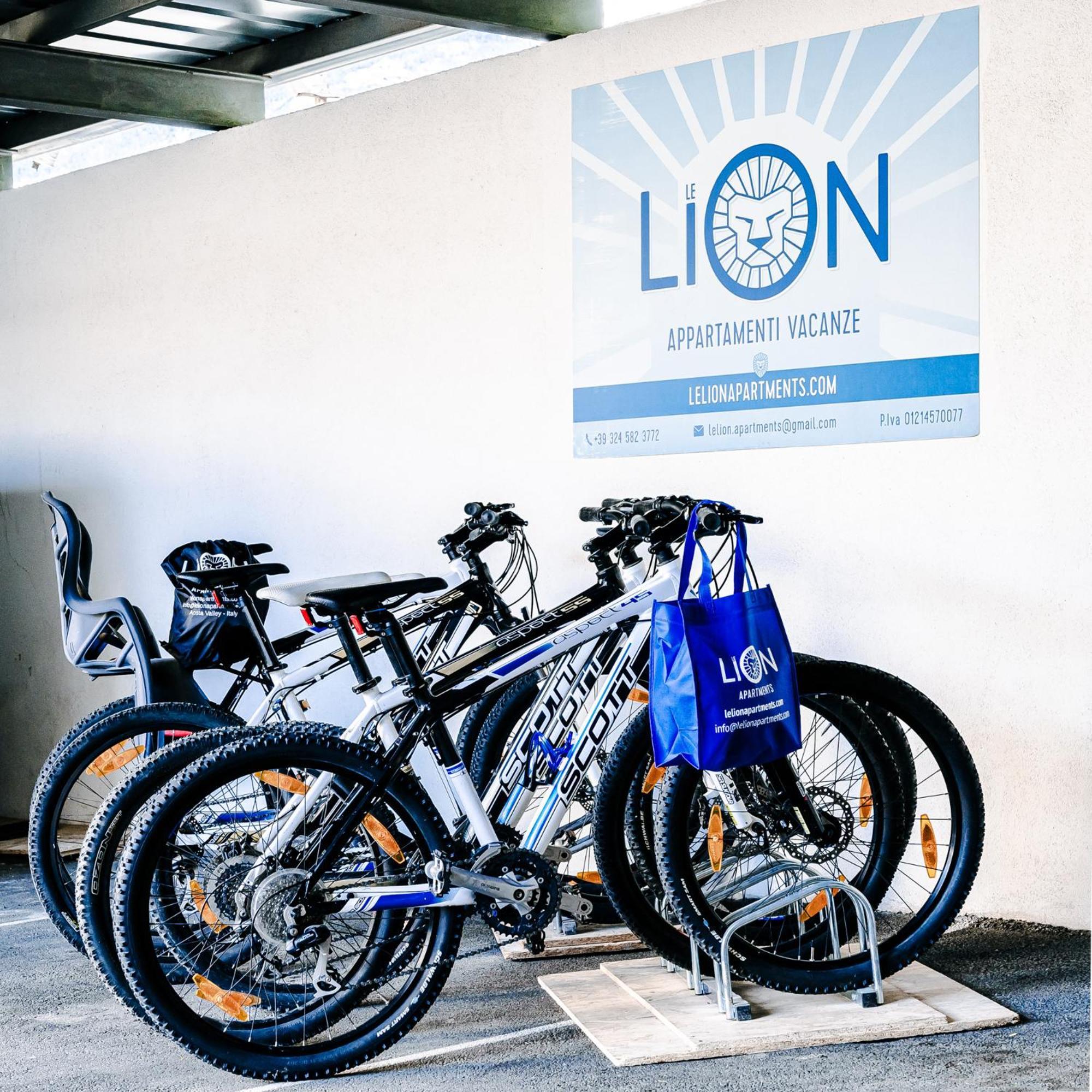 Le Lion Apartments - Bike & Ski Aosta Exterior photo